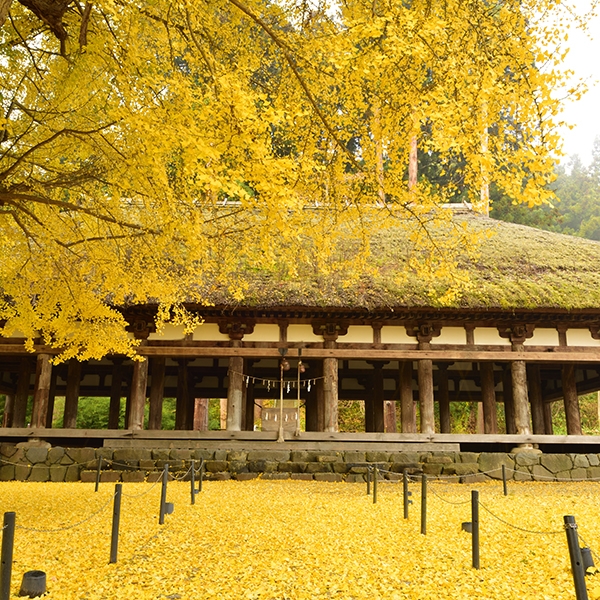 新宮熊野神社長床