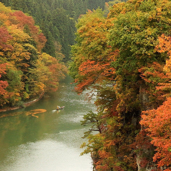 霧幻峡の渡し（早戸船着き場）